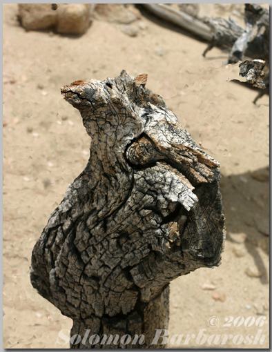 Animal Kingdom 2