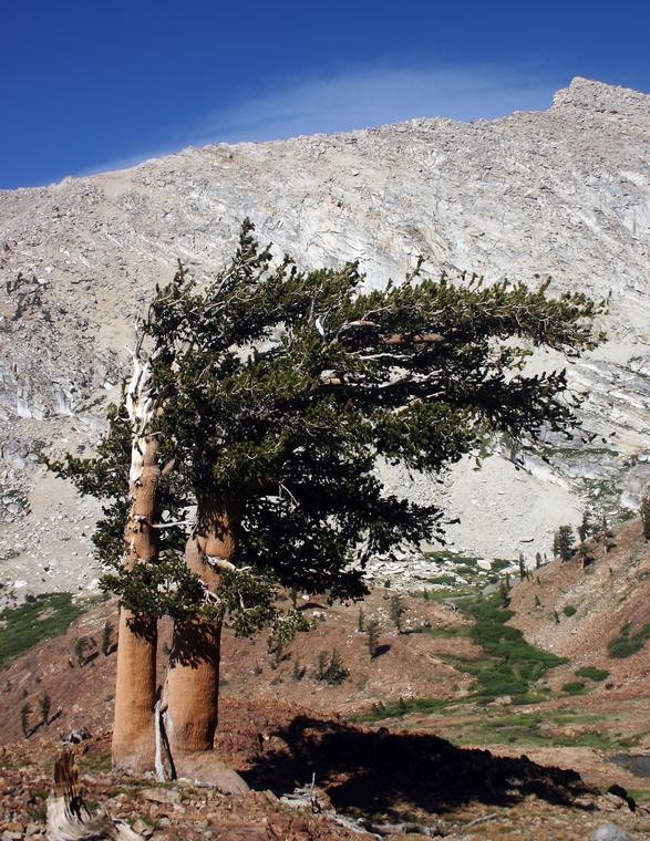 In the Mountains 29