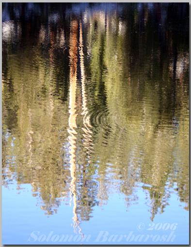 On the Water 5