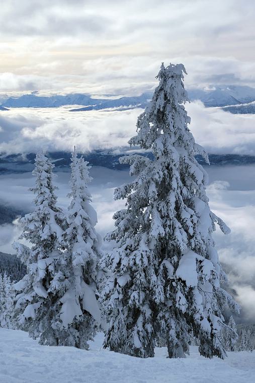Winter 2