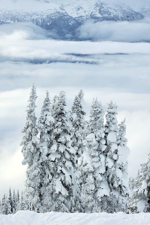 Winter 3