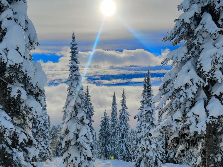 Winter 6