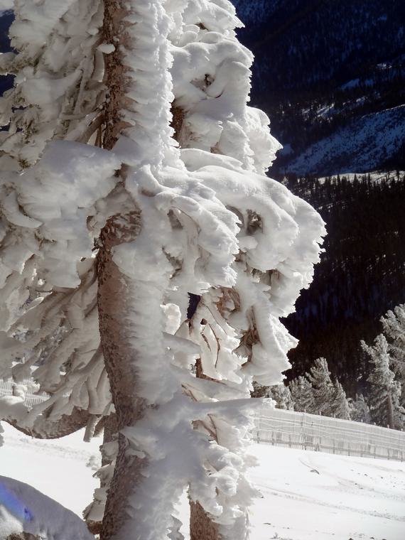 Winter 10