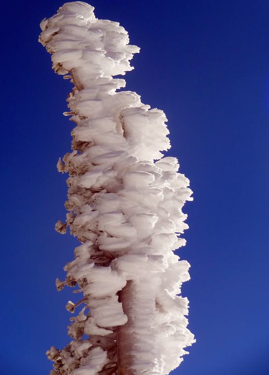Winter 11