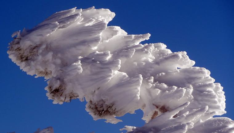 Winter 12