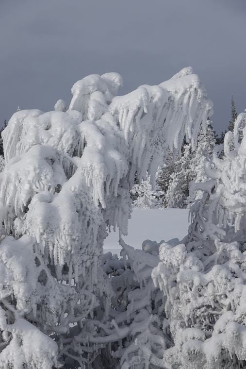 Winter 14
