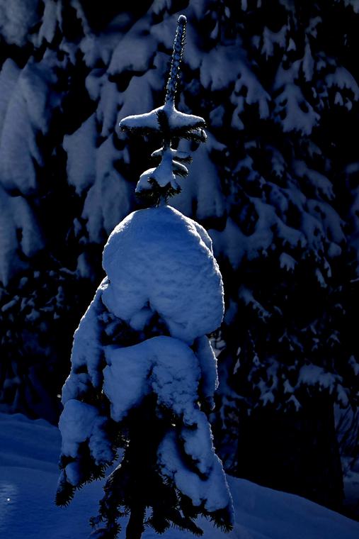 Winter 15