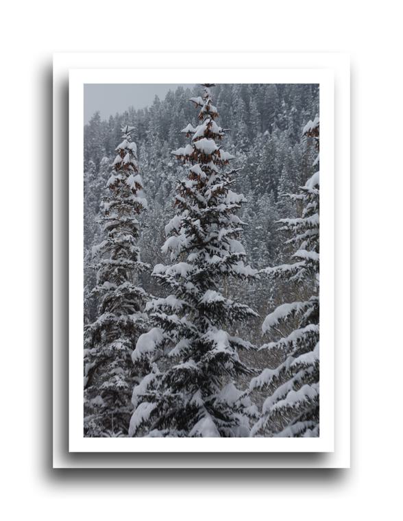 Winter 19