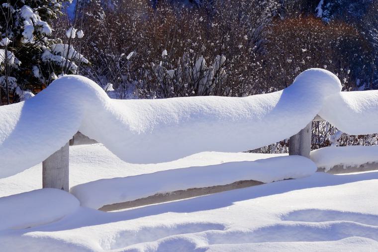 Winter 21