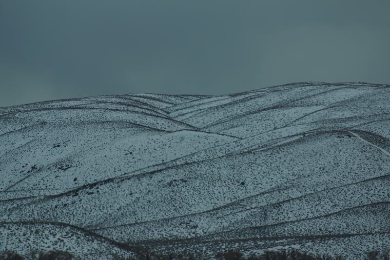 Winter 22