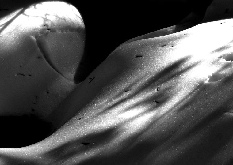 Winter 23