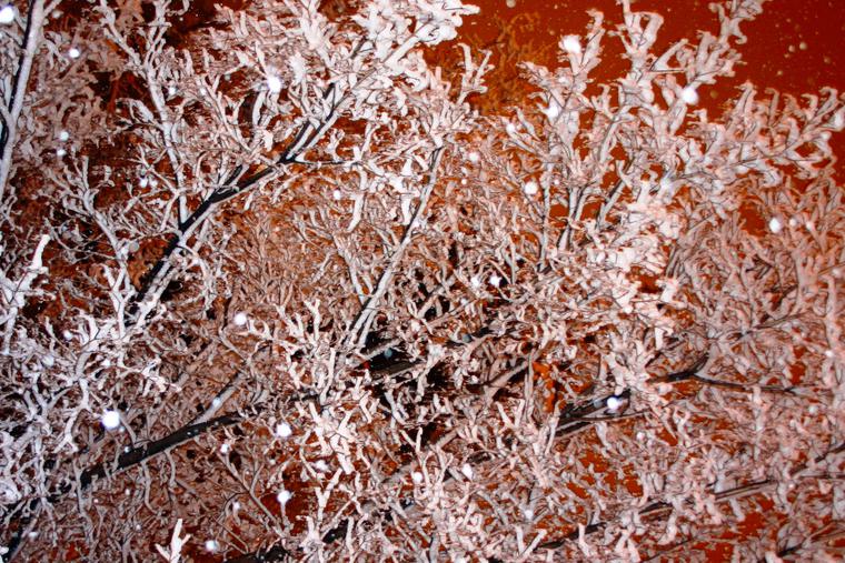 Winter 25