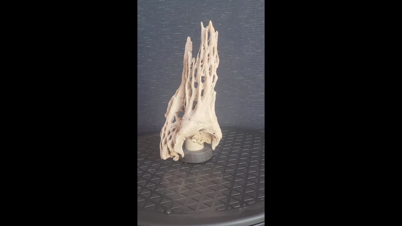 Wood Carvings